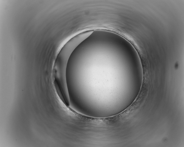X0000091061524200708131118