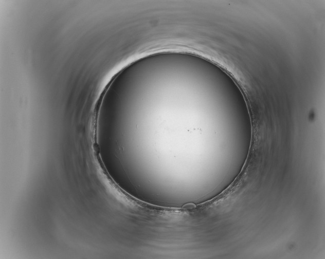 X0000091061526200708131118