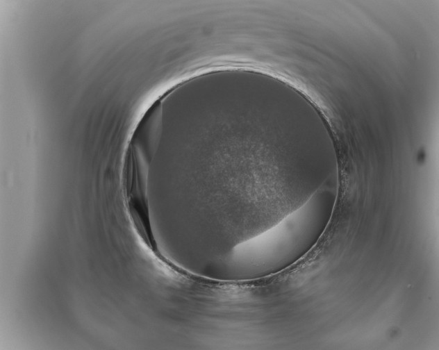 X0000091061527200708131118