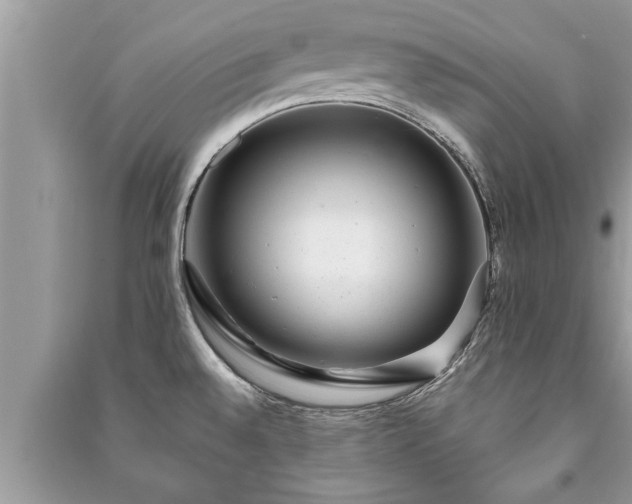 X0000091061528200708131118