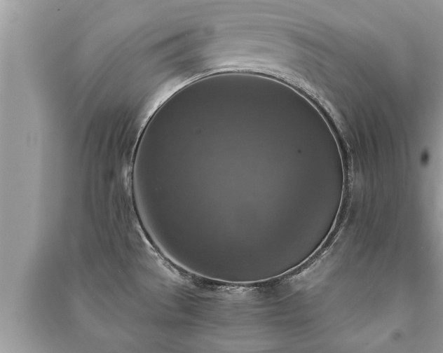 X0000091061529200708131118