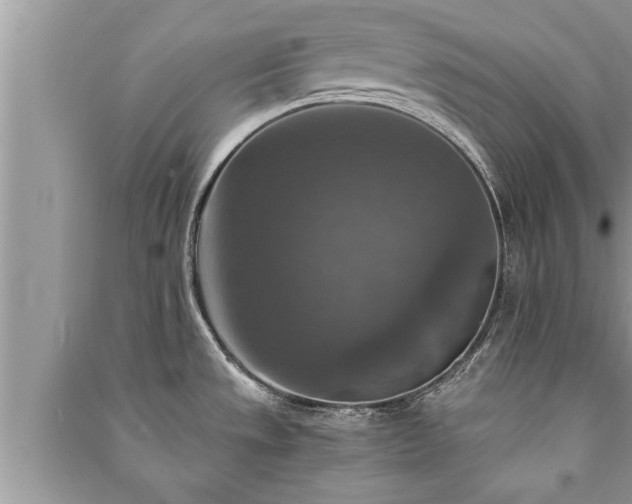 X0000091061533200708131118