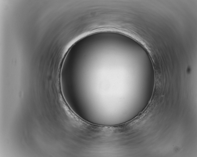 X0000091061534200708131119