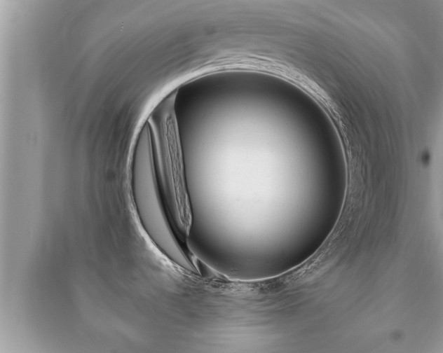 X0000091061536200708131119