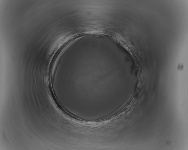 X0000091060002200708201357
