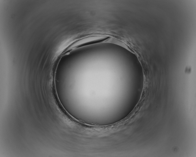 X0000091060005200708201357