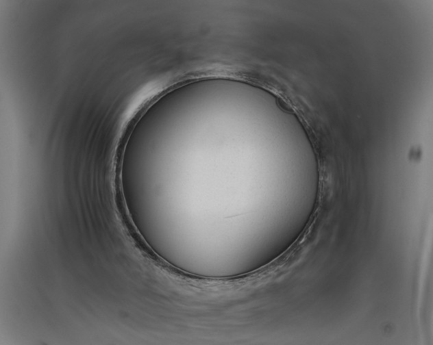 X0000091060006200708201357