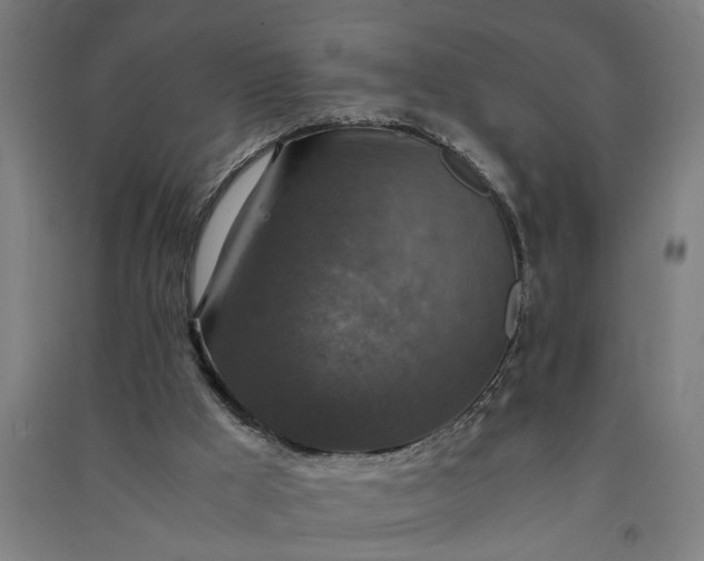 X0000091060009200708201357