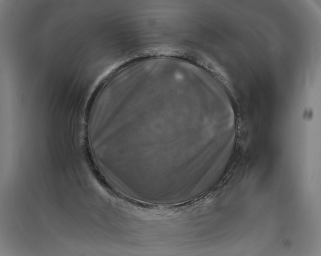 X0000091060012200708201357