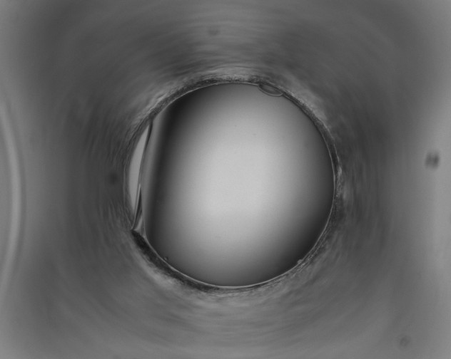 X0000091060013200708201357