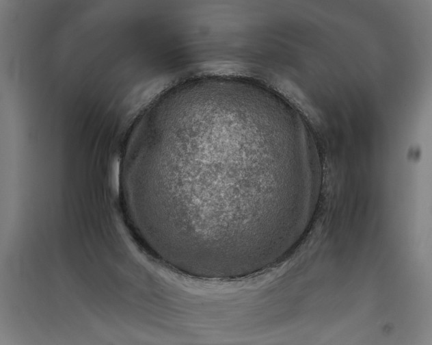 X0000091060014200708201357