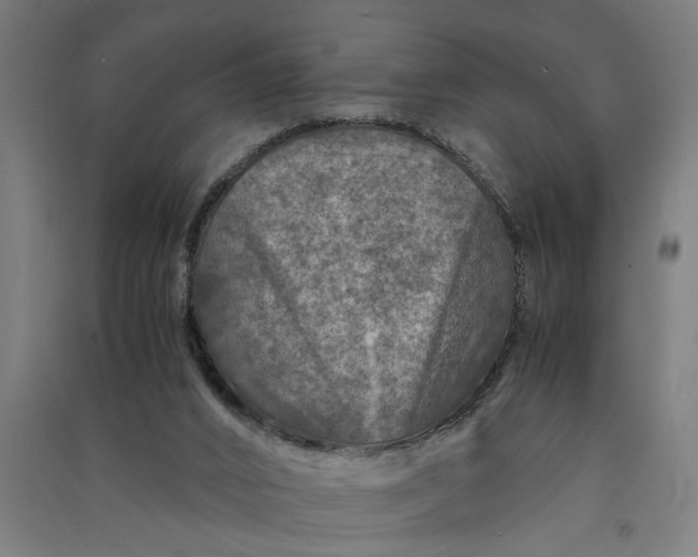 X0000091060016200708201357
