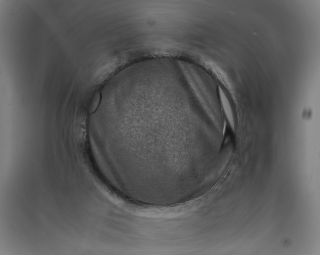 X0000091060017200708201357