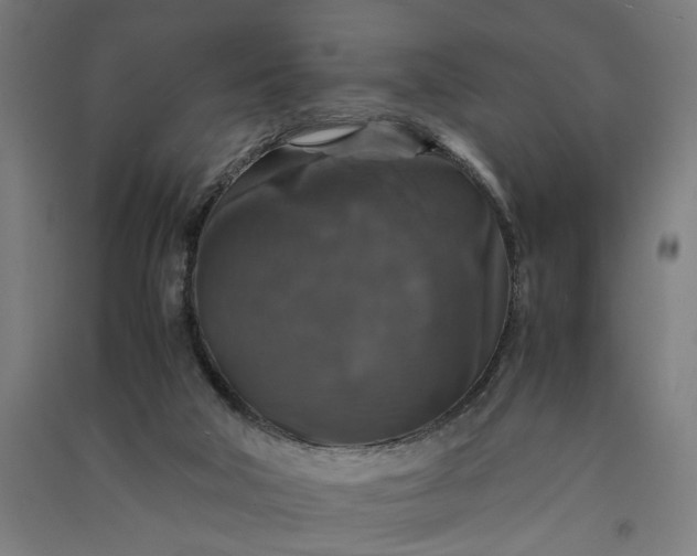 X0000091060018200708201356