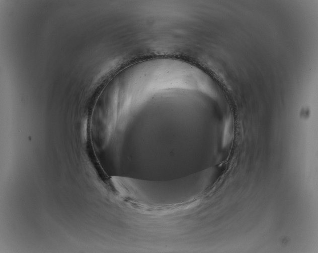 X0000091060019200708201356
