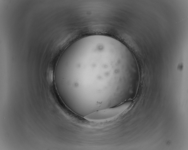 X0000091060021200708201356