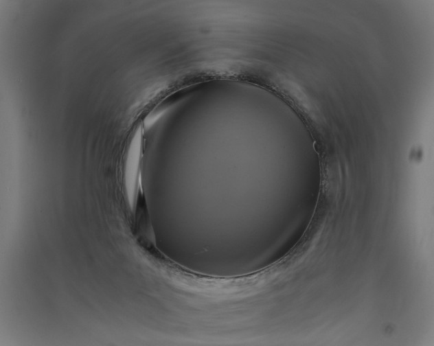 X0000091060023200708201356