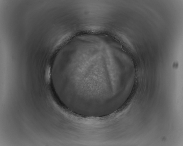 X0000091060024200708201356