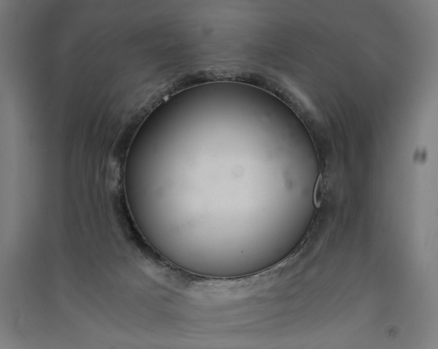 X0000091060025200708201356