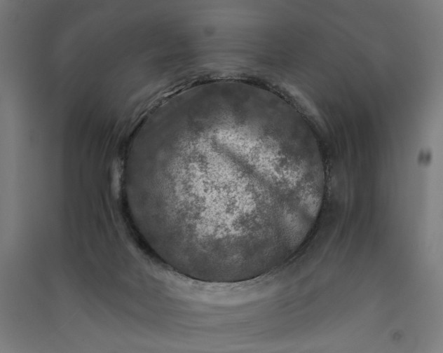 X0000091060026200708201356