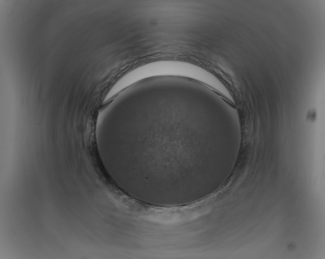X0000091060029200708201356