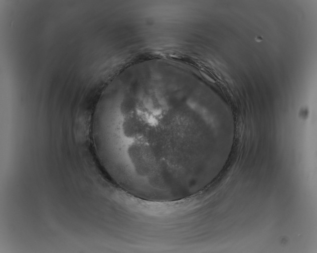 X0000091060030200708201356
