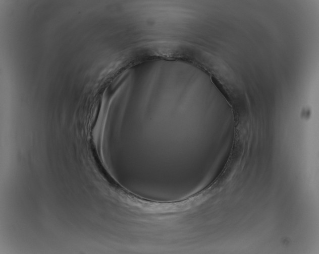 X0000091060031200708201356