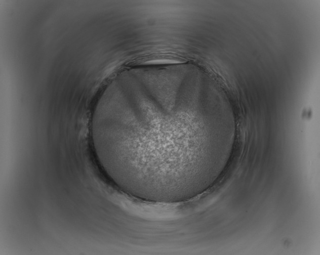X0000091060032200708201356
