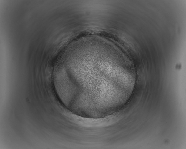 X0000091060034200708201356