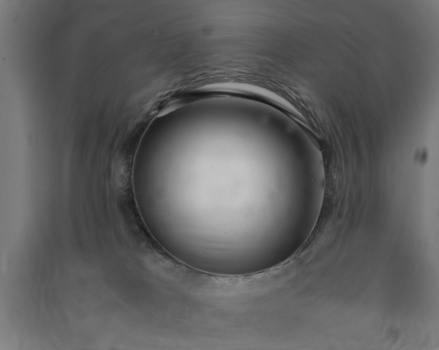 X0000091060037200708201356