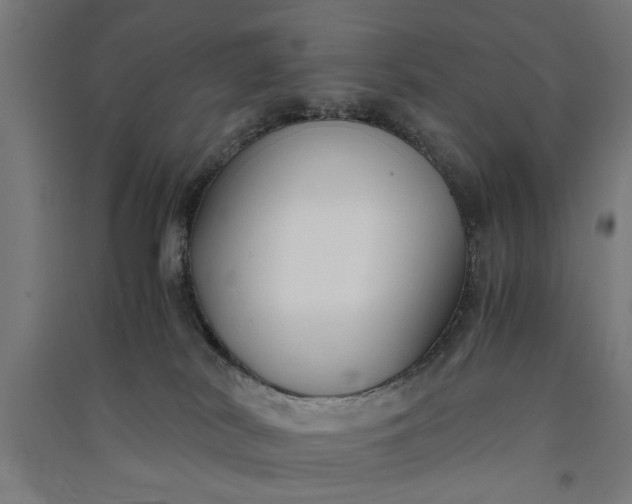 X0000091060038200708201356