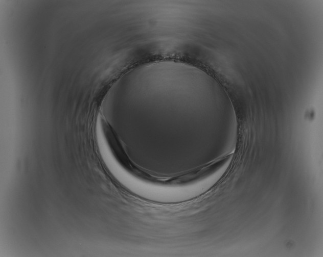X0000091060039200708201356