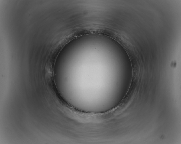 X0000091060040200708201356