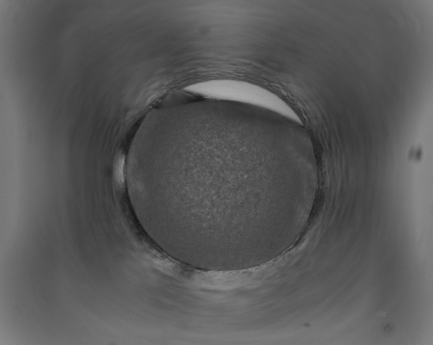 X0000091060041200708201356