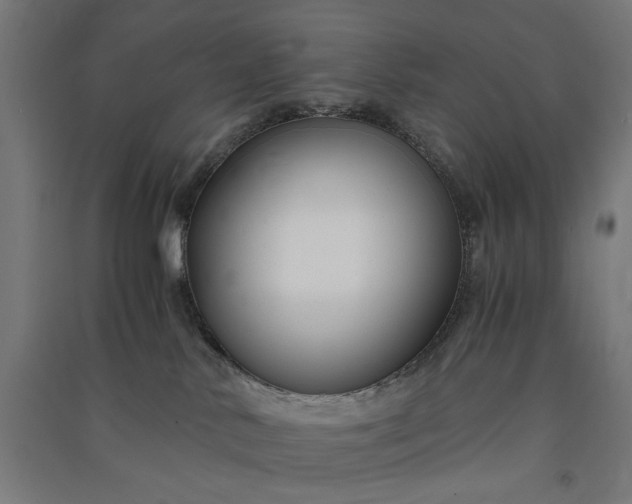 X0000091060042200708201356