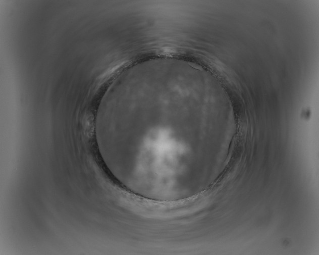 X0000091060043200708201356