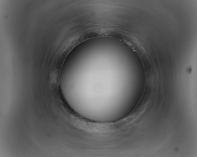 X0000091060044200708201356