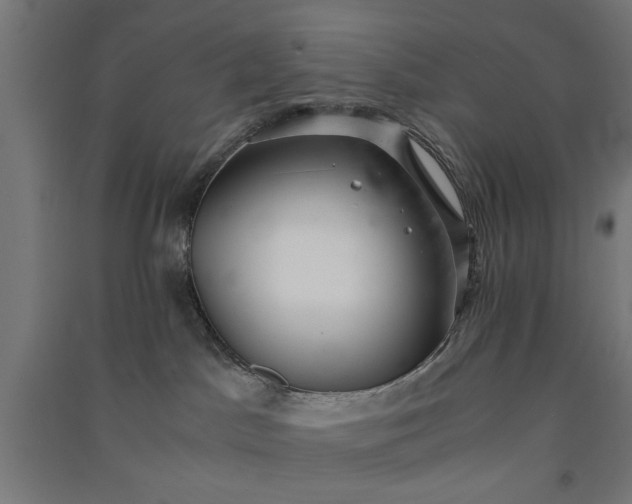 X0000091060045200708201356