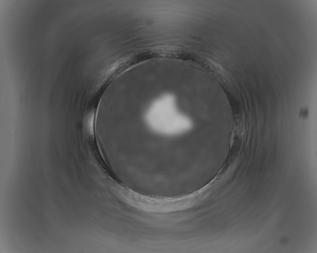 X0000091060047200708201356