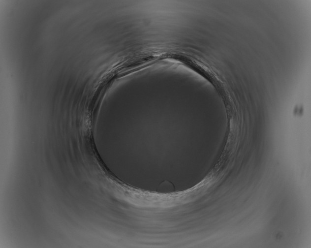 X0000091060048200708201356