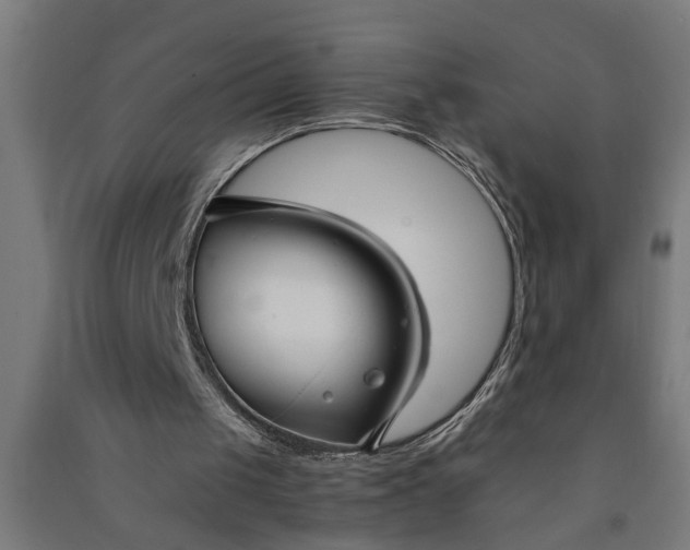 X0000091060049200708201355