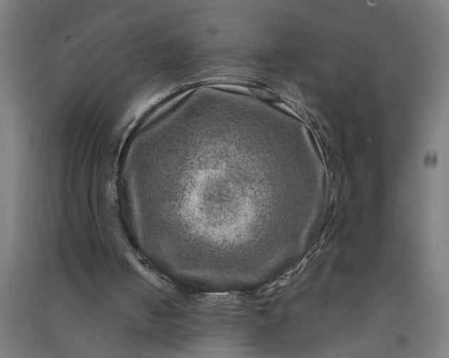 X0000091060050200708201355