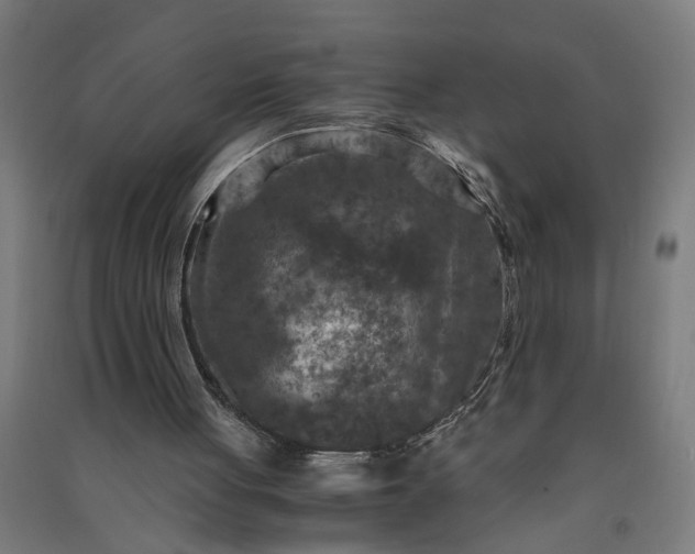 X0000091060051200708201355