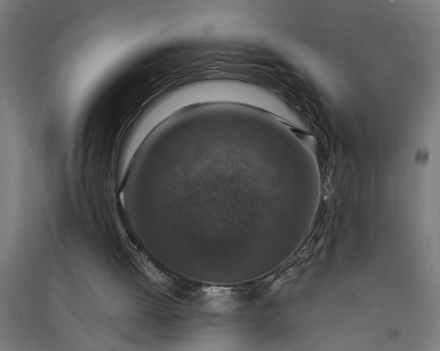 X0000091060052200708201355