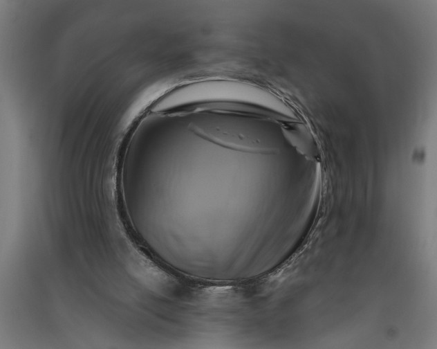 X0000091060054200708201355