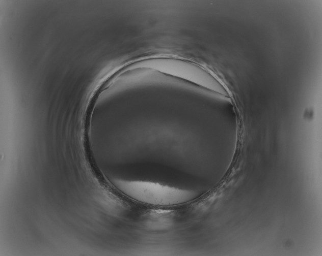 X0000091060055200708201355
