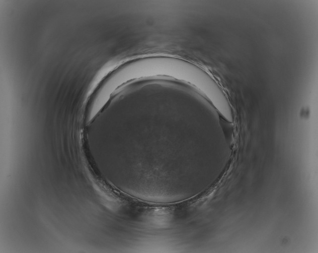 X0000091060056200708201355