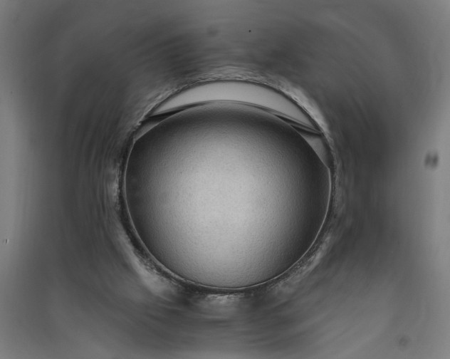 X0000091060057200708201355