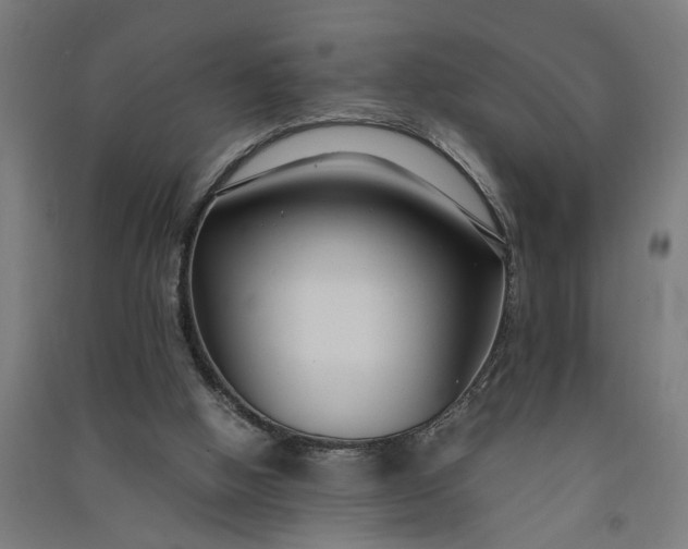 X0000091060058200708201355
