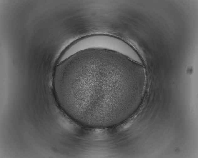 X0000091060060200708201355